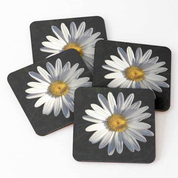 Item preview, Daisy early morning designed and sold by mainekayakgirl.