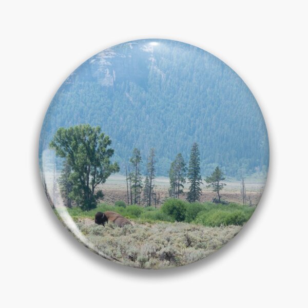 Item preview, Bison Grazing in Lamar Valley, Yellowstone National Park designed and sold by tessneedham.
