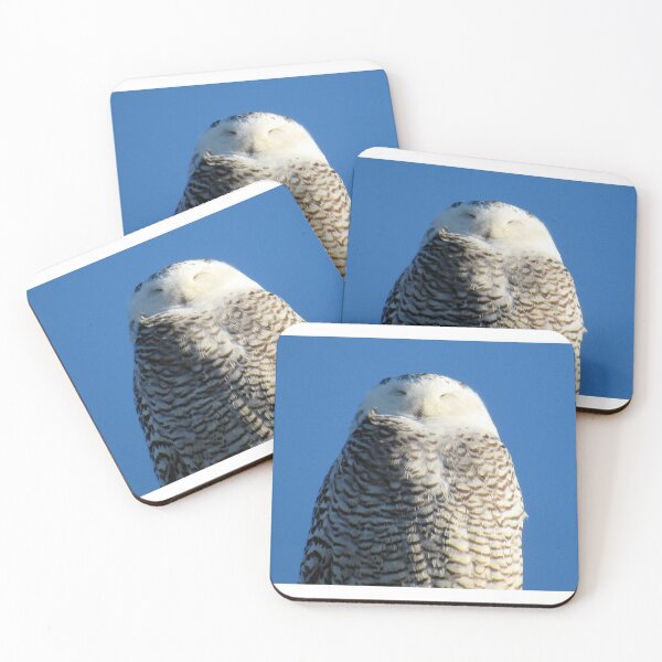 Artikelvorschau, Schneeeule entworfen und verkauft von dkphotographs.