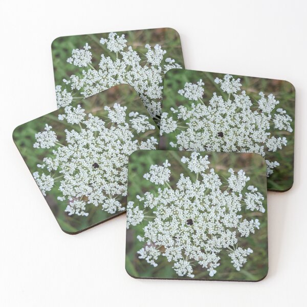Item preview, Queen Anne's lace designed and sold by memorguson.