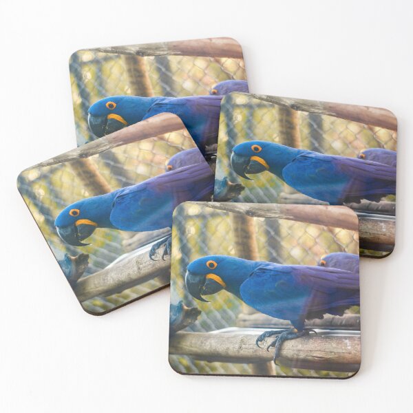 Item preview, blue arara in the zoo designed and sold by georgiavsx.