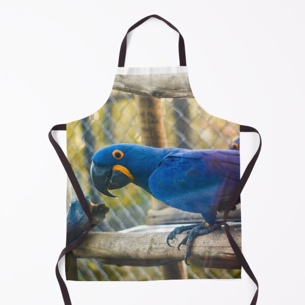 Item preview, blue arara in the zoo designed and sold by georgiavsx.