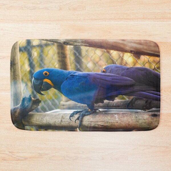 Item preview, blue arara in the zoo designed and sold by georgiavsx.