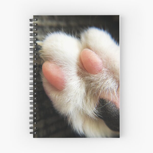 Item preview, The Best Beans Around designed and sold by Only4sometimes.