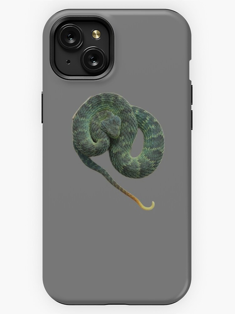 Atheris chlorechis Sticker for Sale by RyuTheDragon