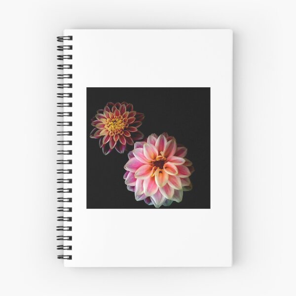Item preview, Chrysanthemums designed and sold by AC0124.