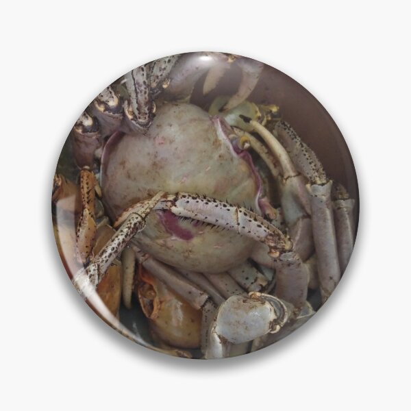 Artikelvorschau, Long Island Baha White Crab entworfen und verkauft von SaSaBoutique.