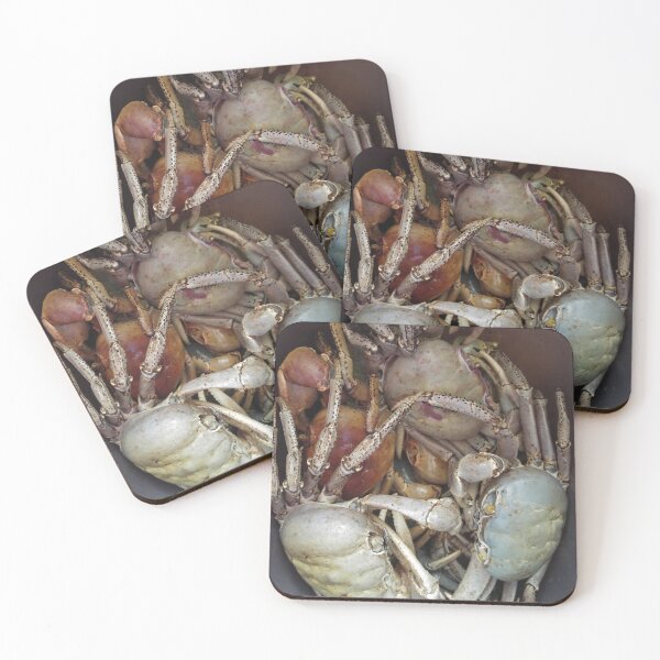 Item preview, Long Island Baha White Crab designed and sold by SaSaBoutique.