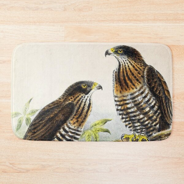 Item preview, Two Sulawesi Honey Buzzards designed and sold by laguitan10.