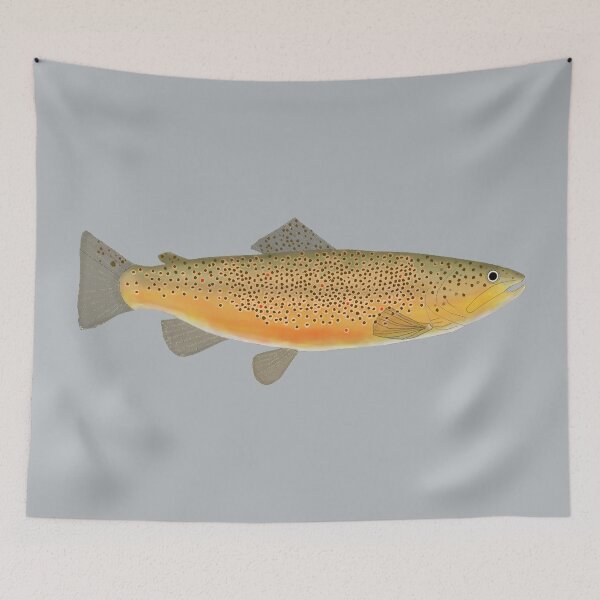 Artikelvorschau, Bachforelle entworfen und verkauft von fishfolkart.