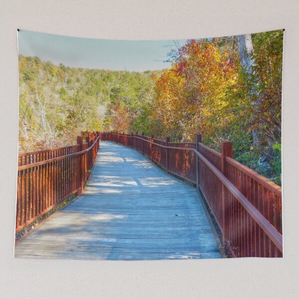 Item preview, Pathway to Beauty designed and sold by Frankie Cat Photography.