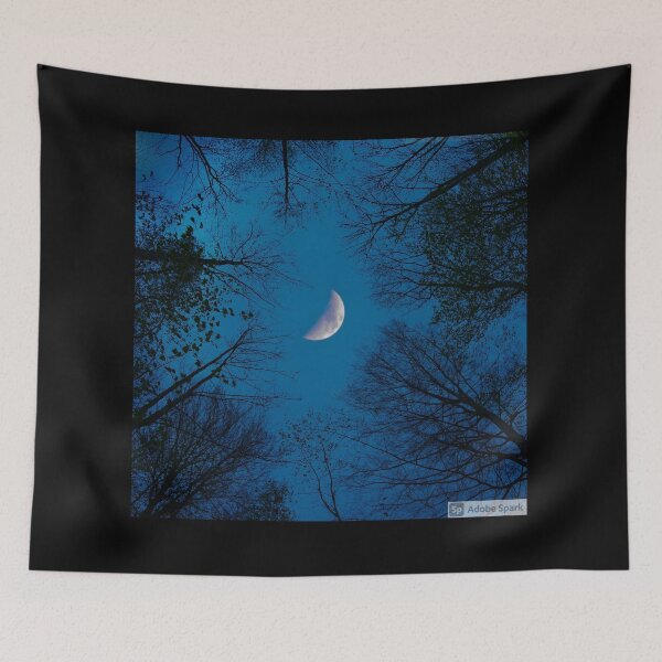 Item preview, Forest Night Scape designed and sold by NatashaE.