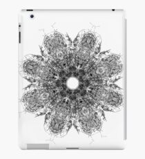Glyph 6 iPad Case/Skin