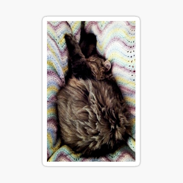 Loki Snuggled Down Sticker