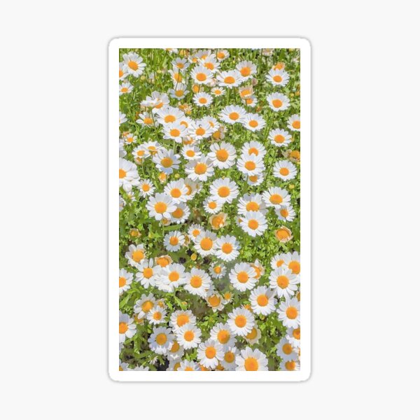 Item preview, Field of Daisies designed and sold by Katie-Eliza.