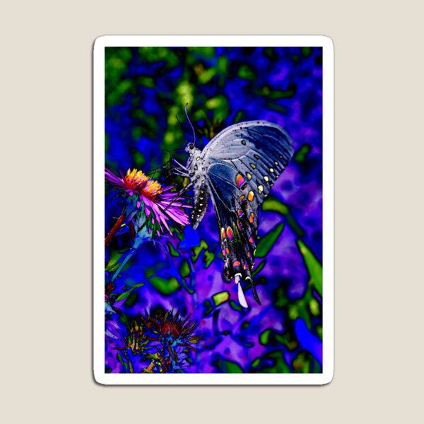 Butterfly Blues Magnet