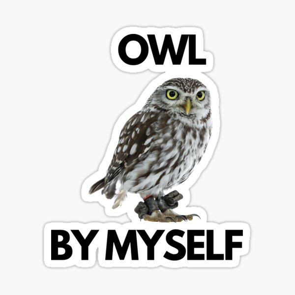 Owl by Myself  Sticker