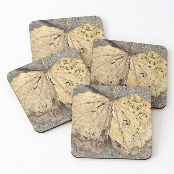 Item preview, Dead Leaf on the Ground designed and sold by Sinemathk.
