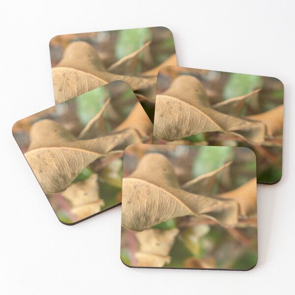 Item preview, Brown Wilting Leaf designed and sold by Sinemathk.