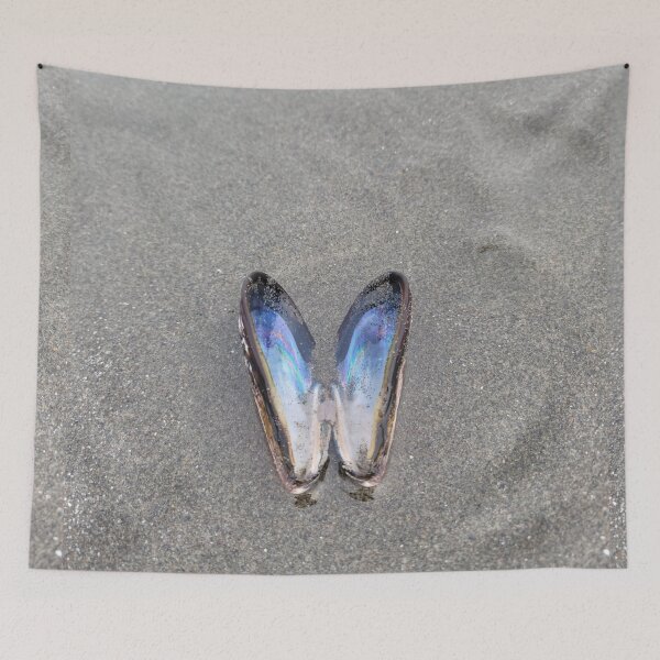 Item preview, Butterfly Shell designed and sold by Djjin66.