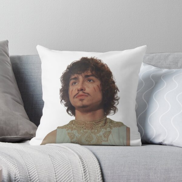 https://ih1.redbubble.net/image.2577517340.6398/throwpillow,small,600x-bg,f8f8f8-c,0,120,600,600.jpg