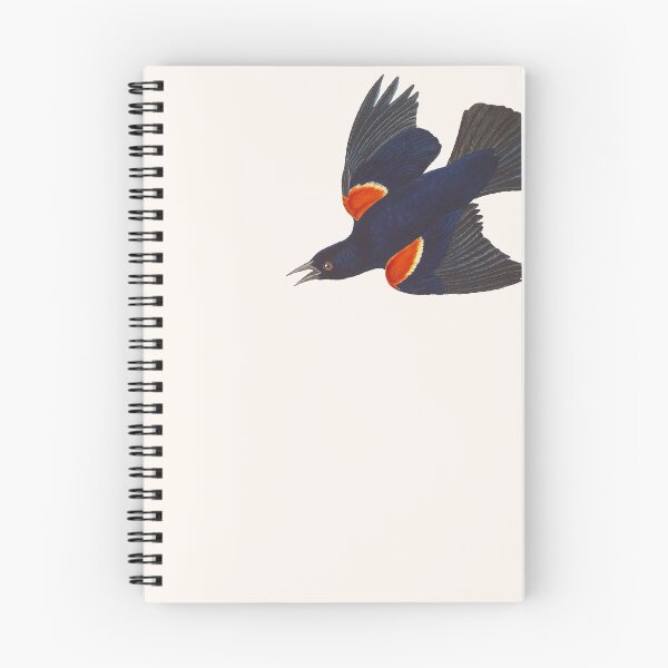 Item preview, Red-winged Blackbird - Male / Vintage birds watercolour illustration designed and sold by wild.geranium.design.