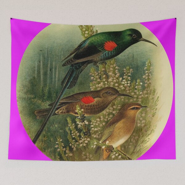 Item preview, Three Scarlet Stuffed Sunbirds designed and sold by laguitan10.