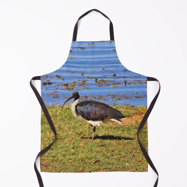 Item preview, Australian straw-necked ibis waterbird, Kununurra designed and sold by FranWest.
