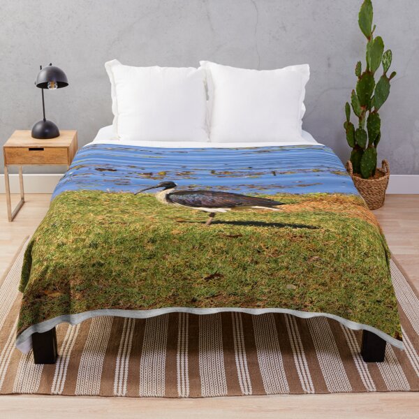 Item preview, Australian straw-necked ibis waterbird, Kununurra designed and sold by FranWest.