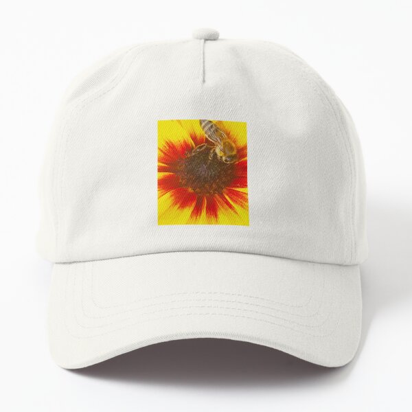 Honigbiene auf Rudbeckia Dad Hat