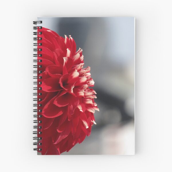 Item preview, red dahlia Dahlia nature photo designed and sold by hellonamrata.