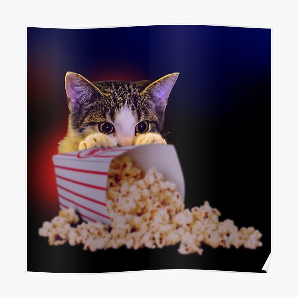 "Cat Watching Scary Movie, Hiding Behind Popcorn Box" Poster for Sale