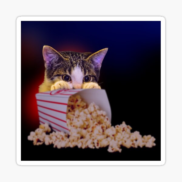 "Cat Watching Scary Movie, Hiding Behind Popcorn Box" Sticker for Sale