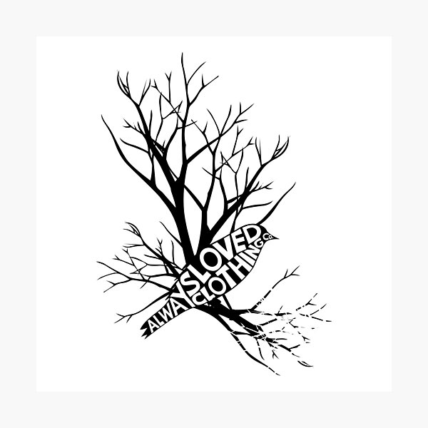 I've Alwaysloved Blackbirds Photographic Print