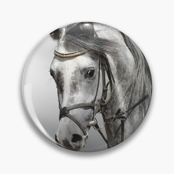 Item preview, A Horse designed and sold by FUNKYSHOPS.