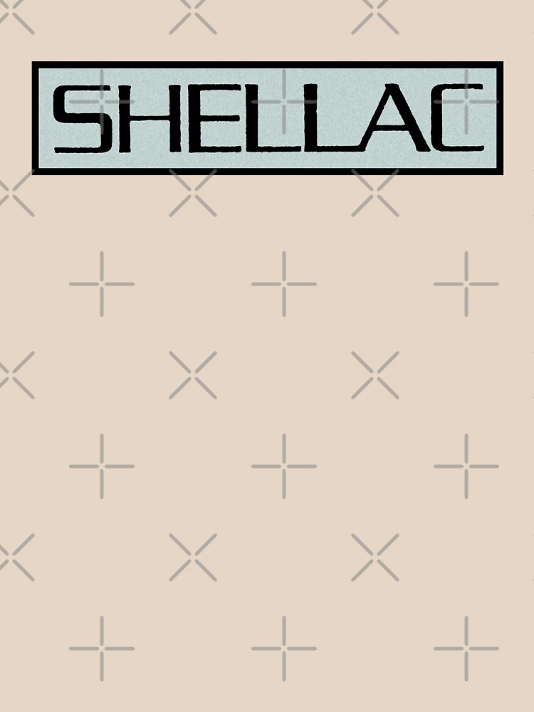 Shellac At Action Park by pizzacontigo