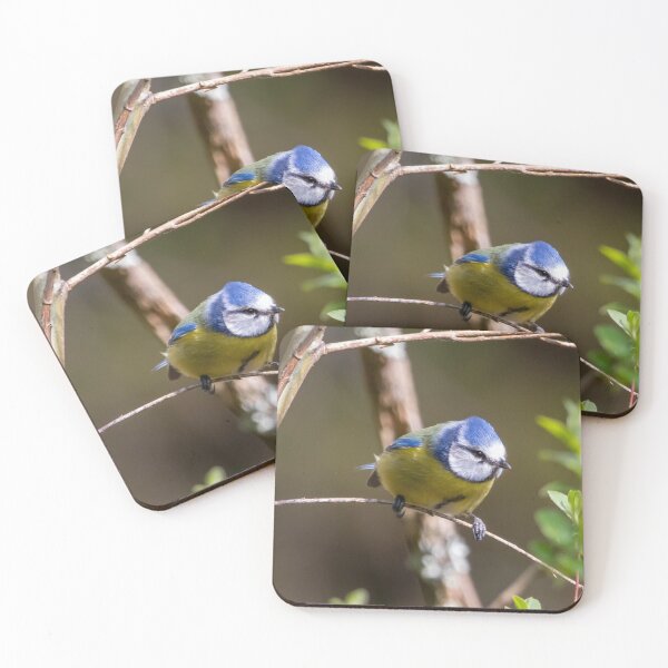 Item preview, Blue tit photo designed and sold by LaHickmana.