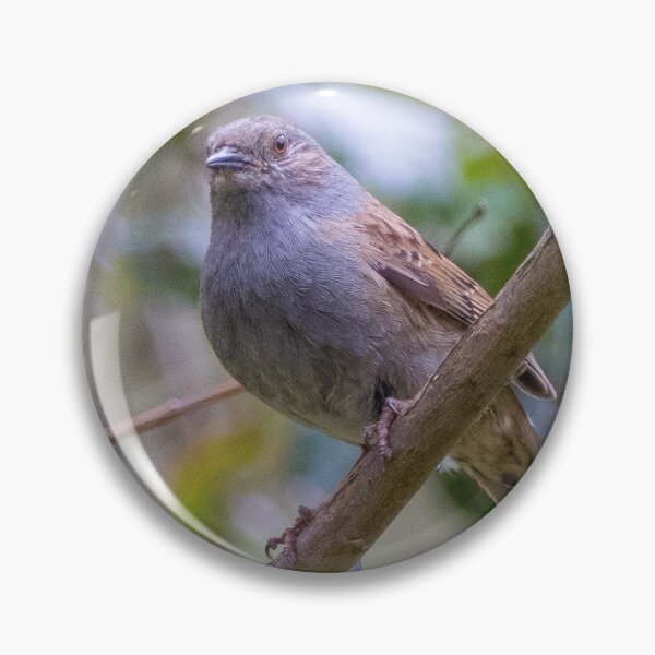 Item preview, Dunnock designed and sold by LaHickmana.