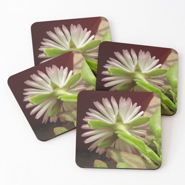Item preview, flor de hielo rosa flor de invierno foto de la naturaleza designed and sold by hellonamrata.