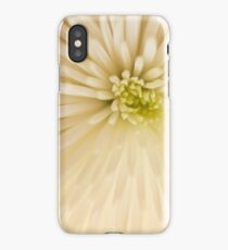 Floral Fun iPhone Case