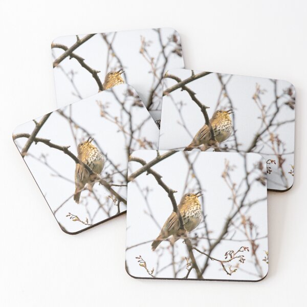 Item preview, Song thrush designed and sold by LaHickmana.
