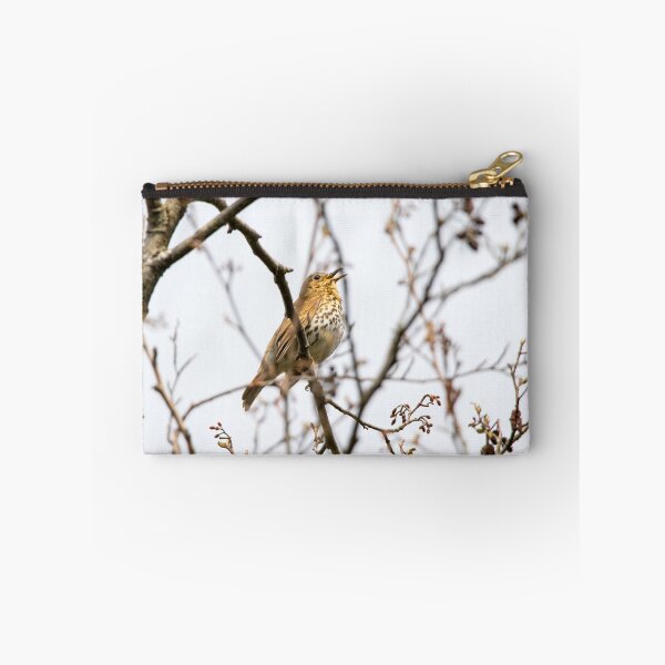 Item preview, Song thrush designed and sold by LaHickmana.