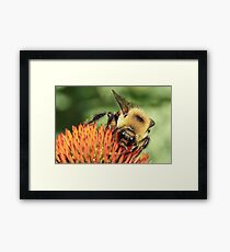 Big Eyes Framed Print