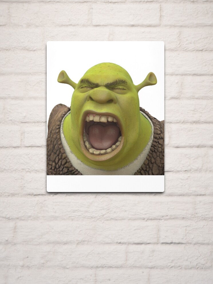 Screaming Shrek  Metal Print for Sale by SunnyMoonCrafts