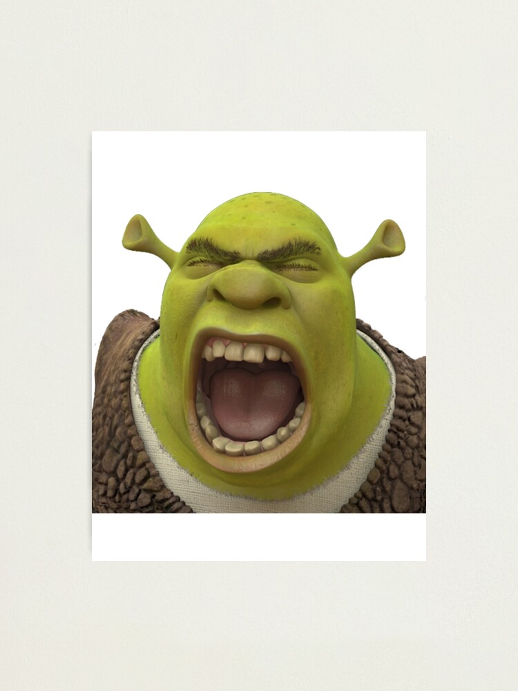 Shrek 1 - Shrek Surprised | Photographic Print