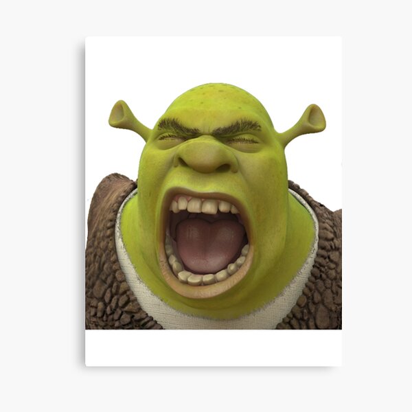 Shrek Meme Flag Car Flag Printing Custom Shrek Meme Png Shrek Face