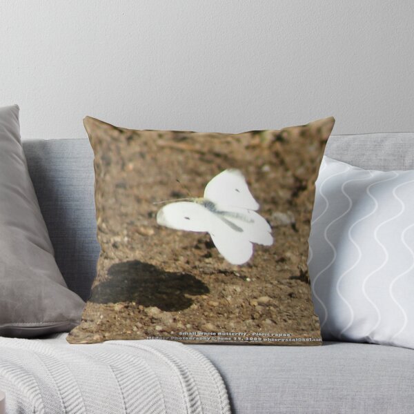 Item preview, Cabbage White Butterfly - Pieris rapae; La Mirada, CA USA designed and sold by leih2008.