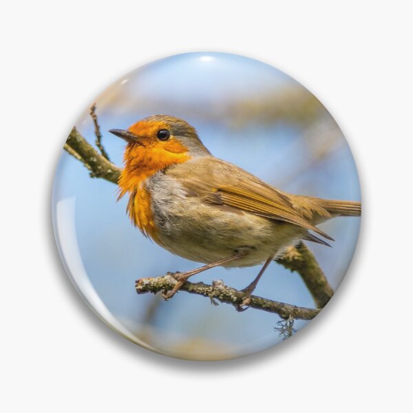 Item preview, Robin designed and sold by LaHickmana.
