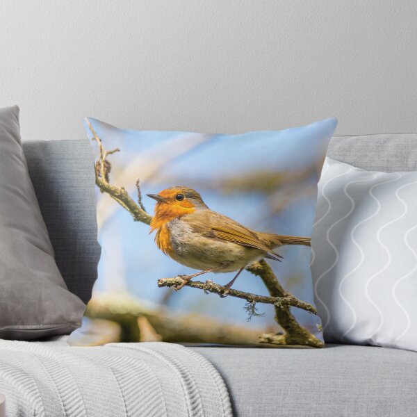 Item preview, Robin designed and sold by LaHickmana.