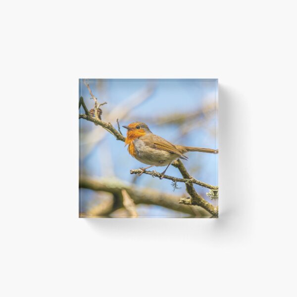 Item preview, Robin designed and sold by LaHickmana.